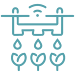 CEDS Icons-05-05 Authenticity
